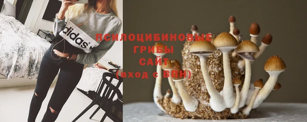 герыч Горняк