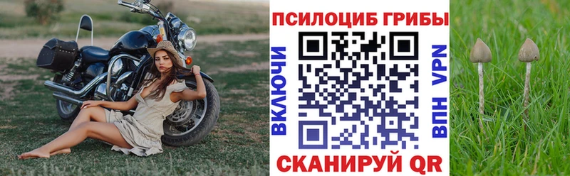 даркнет как зайти  магазин    Чита  Псилоцибиновые грибы GOLDEN TEACHER 